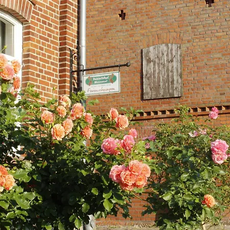 Damwildhof Blievenstorf- Apartmán *